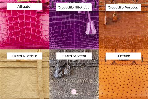 hermes exotic skin bags|skins for hermes leather.